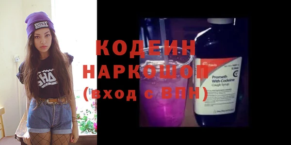 2c-b Краснослободск