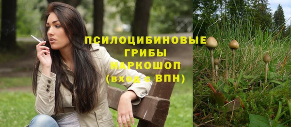 молекула духа Красноперекопск