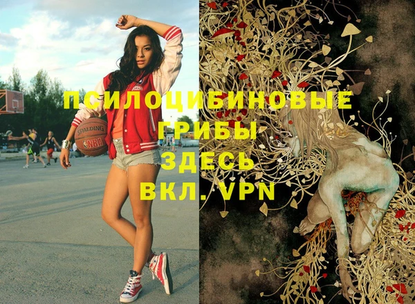мдма Коряжма