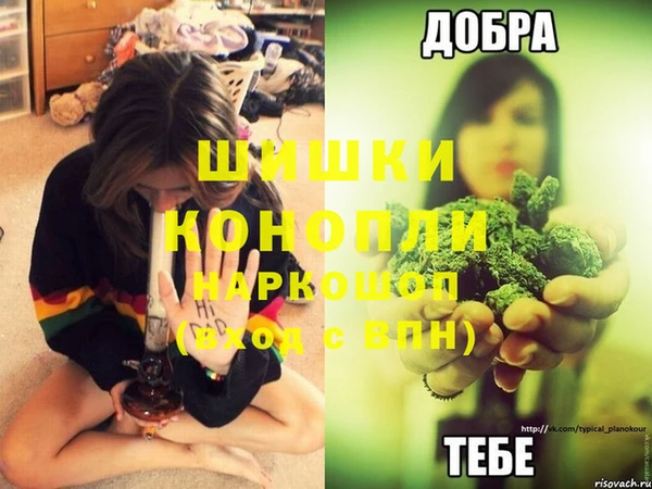 прущая мука Корсаков