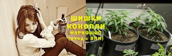 2c-b Краснослободск